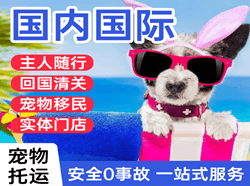 南宁吴圩空运公司国际宠物托运 【国